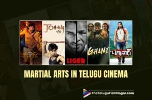 From Kickboxing to Kalaripayattu: Martial Arts' Enduring Impact in Telugu Films