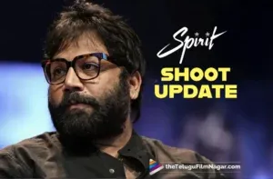 Prabhas' Spirit lands a shoot update