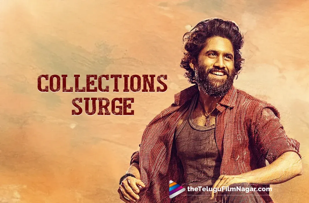 Thandel Makes Waves at the Box Office, Grosses Rs      62.37 Crore Worldwide