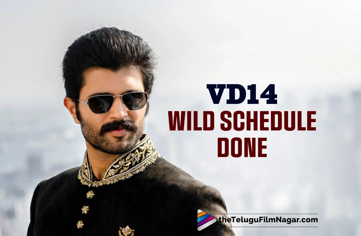 VD14: Crazy, mad, wild schedule finished