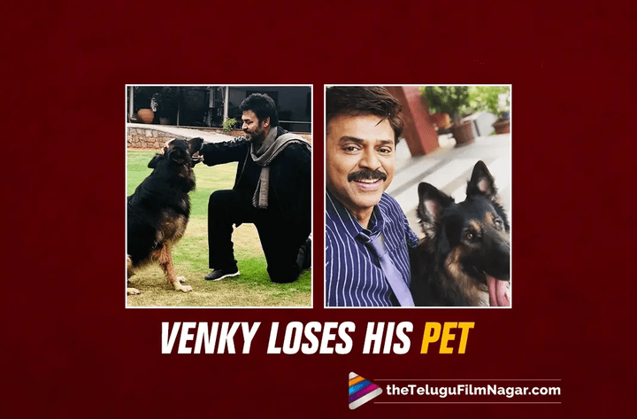 Venkatesh bids a heartfelt farewell to his pet dog, Google