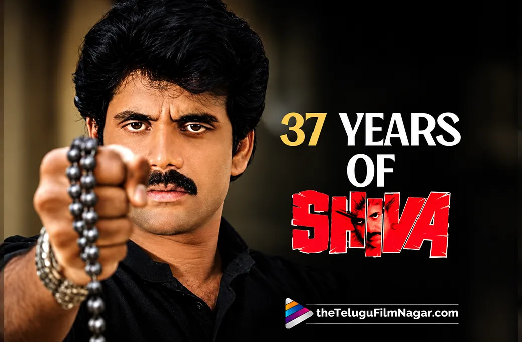 Shiva: A Film That Still Feels Special