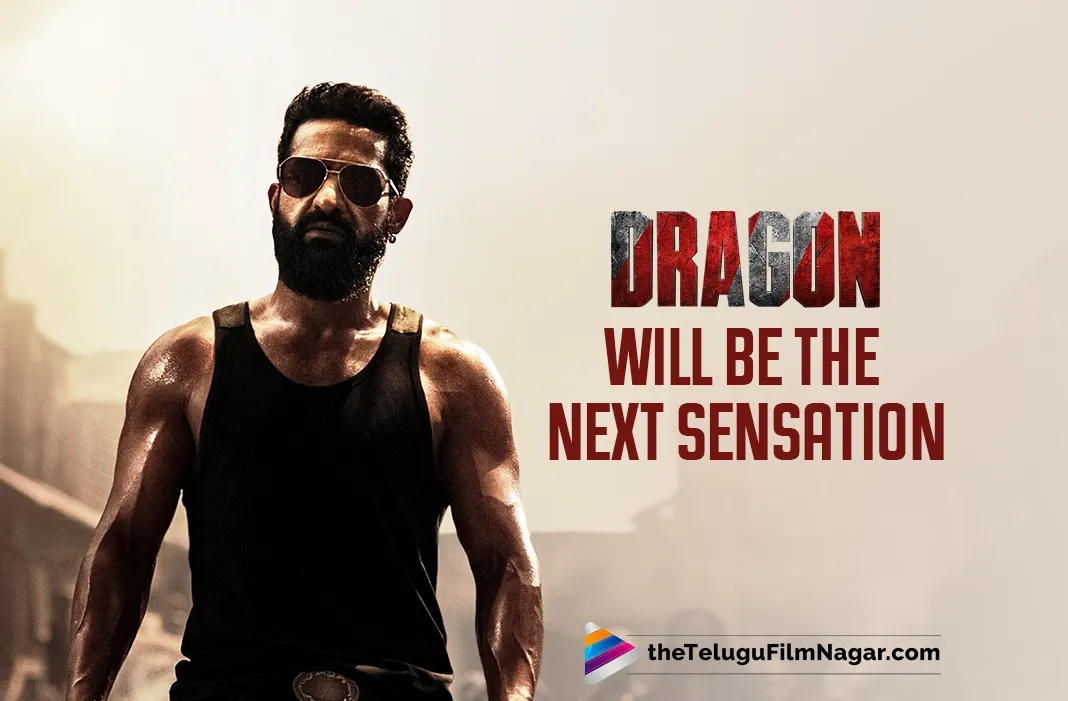 Dragon Expected to Be the Next Sensation